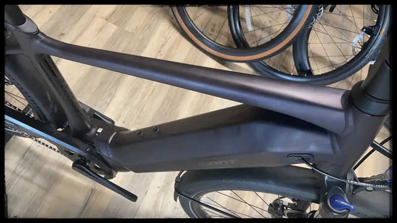 Giant DailyTour E+ 3 GTS 25km/h Small Rosewood 2022-2